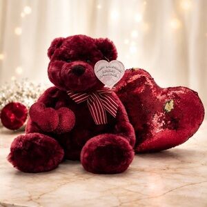 Valentine Plush Burgundy Teddy Bear with Heart